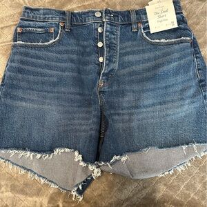 Abercrombie Curve Love Dad Shorts